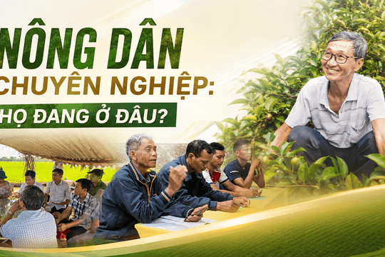 Nông dân chuyên nghiệp - Họ đang ở đâu? | Bài 2: Chuyển đổi số không bắt đầu từ công nghệ