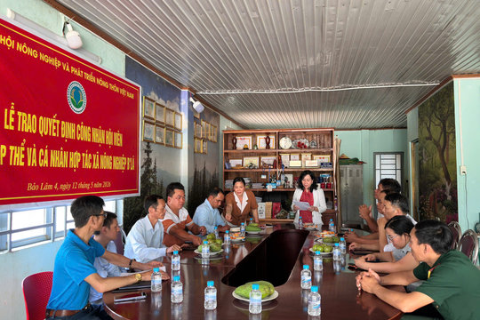 Hợp tác xã Nông nghiệp B'Lá gia nhập Tổng hội NN&PTNT Việt Nam