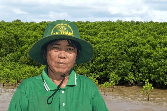 PODCAST | 'Bà trùm' bần chua và cuộc chơi... vá đất miền Tây