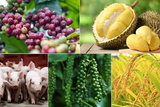 Thị trường hôm nay 18/5: Gạo và hồ tiêu vững đà tăng, cà phê chịu áp lực giảm sâu từ quốc tế