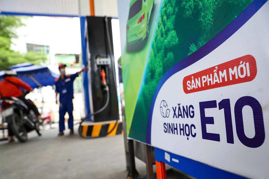 Xăng E10 trước giờ G: Tự chủ năng lượng hay phụ thuộc củ sắn ngoại?