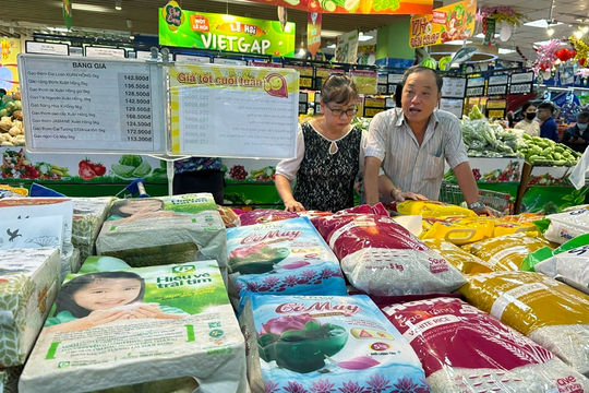Thị trường gạo Việt đang thiếu một cuộc phân vai rõ ràng
