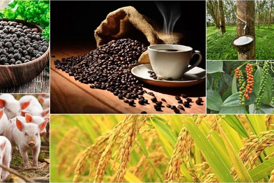 Thị trường nông sản 31/5: Cà phê mất mốc 90.000 đồng/kg, sầu riêng đón tín hiệu tích cực