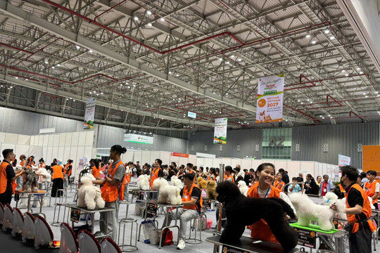 Petfair Vietnam 2026: Ngày hội của cộng đồng yêu thú cưng