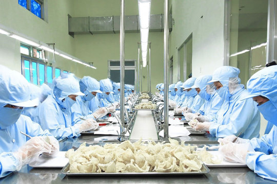 Nông nghiệp Việt: Nghịch lý tỷ USD và phận gia công trên sân nhà | Bài 2