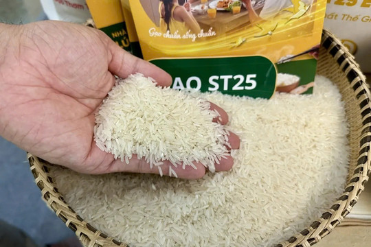 Giao quyền cấp chứng nhận gạo thơm: Địa phương đã sẵn sàng?