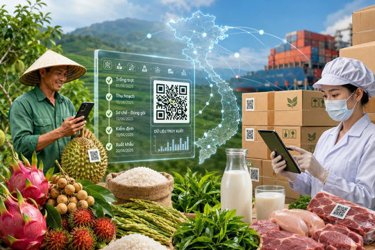 Cột mốc 1/7: Phá vỡ 'ốc đảo' dữ liệu cho nông sản Việt