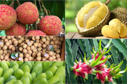 Nông sản Việt sang Trung Quốc: Cần bỏ tư duy 'có gì bán nấy'