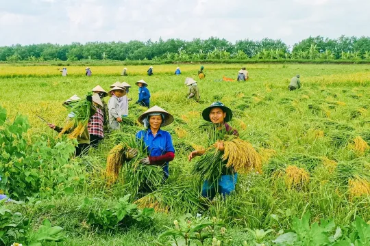 Chuẩn mức sống trung bình nông thôn: Đừng để dân... hụt hơi