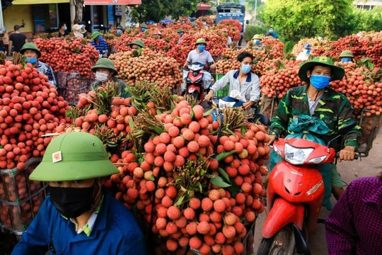Phòng vệ thương mại, 68% và chuyện ‘mất bò mới lo làm chuồng’