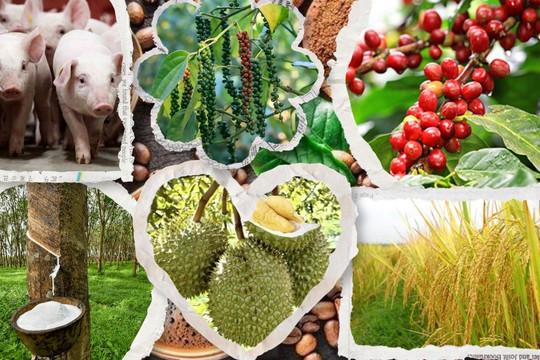 Thị trường nông sản 30/6: Cà phê nội địa giữ nhịp bình ổn, thế giới chìm trong sắc đỏ