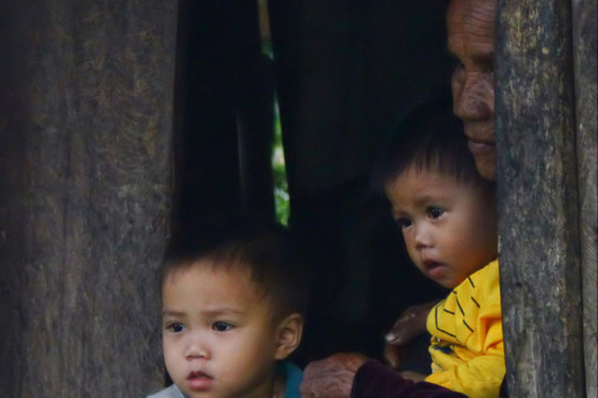 Sao nỡ biến bản thành thôn?