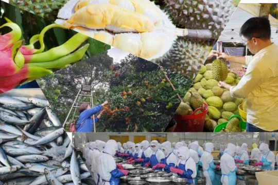 Nông nghiệp 2026: Đừng để ‘giấy phép’ làm nghẽn dòng chảy 74 tỉ USD