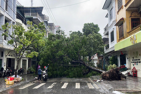 Bão số 1 tàn phá Quảng Ninh, 8 tỉnh thành ‘báo động đỏ’ lũ lớn