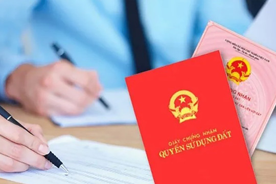 Sai phạm đất đai sẽ không còn tình trạng 'phạt cho tồn tại'