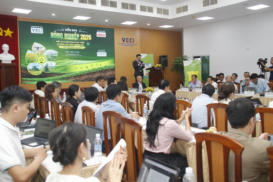 Nông nghiệp Việt: Ba điểm nghẽn cần gỡ để bứt phá