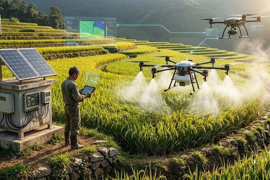 Đầu tư vào dự án nông nghiệp từ 21/8/2026: Tăng cơ hội, thêm trách nhiệm