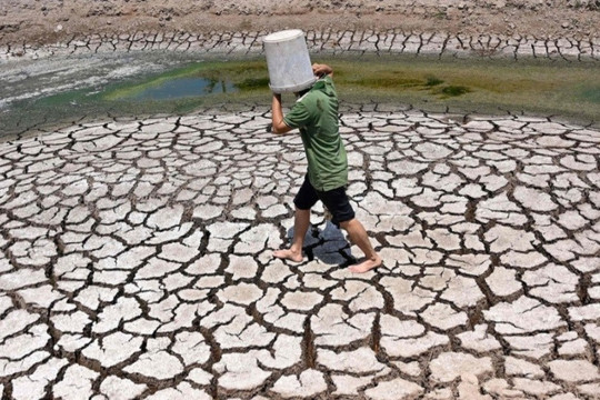 El Niño với Việt Nam: Nguy cơ không còn là cảnh báo