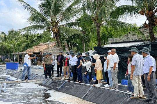 Cà Mau tìm mô hình chuyển đổi xanh từ thực tiễn ao tôm, rừng ngập mặn