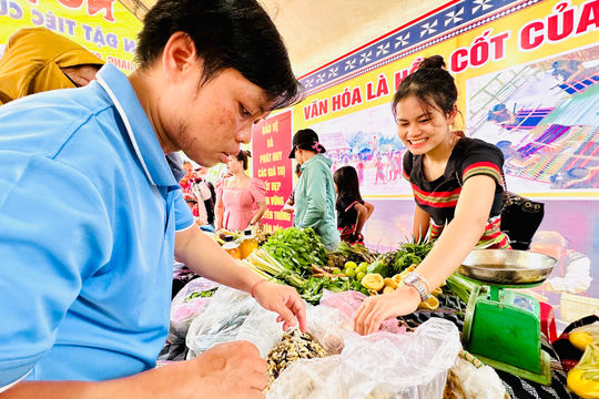 Rừng, nay phố đã về...