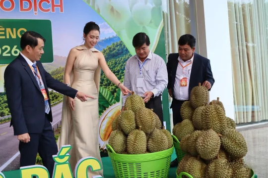 Điều đáng mua nhất trong phiên đấu giá sầu riêng không phải là trái sầu riêng