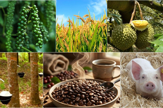 Thị trường nông sản 30/7: Cà phê thế giới chịu áp lực bán tháo, heo hơi tiếp tục hạ nhiệt
