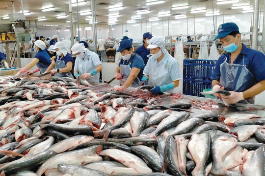 Xuất khẩu thủy sản 2026: 3 kịch bản của VASEP và rủi ro biến động thị trường