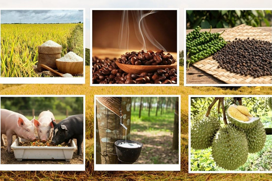 Thị trường nông sản 13/8: Cà phê nội địa mất đà tăng, gạo xuất khẩu khởi sắc