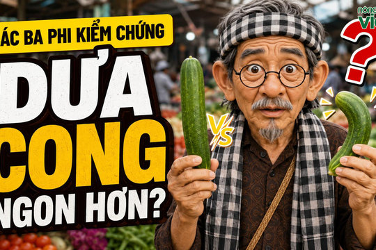 Bác Ba Phi: Dưa chuột cong hay thẳng ngon hơn? Sự thật ít ai biết