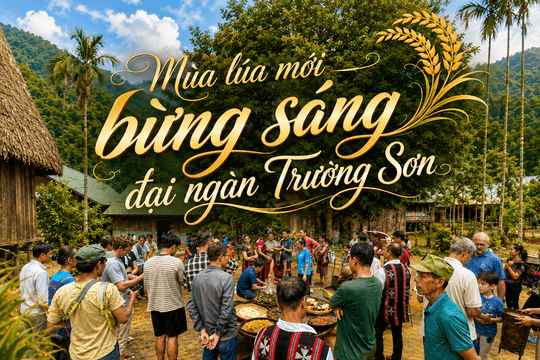 Video | Mùa lúa mới bừng sáng đại ngàn Trường Sơn
