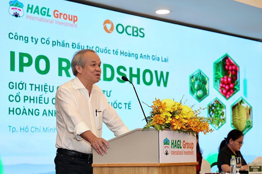 Bầu Đức đặt cược vào 4 năm tới để thuyết phục nhà đầu tư về giá HGI