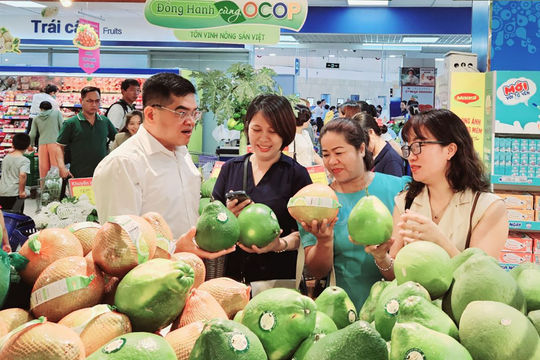Liệu có Trung tâm Outlet cho nông sản không?