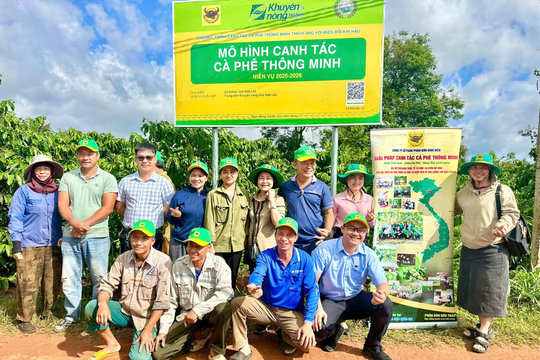 Video | 30 năm Hội đồng Khoa học Bình Điền: Hành trình đưa tri thức từ phòng nghiên cứu ra đồng ruộng