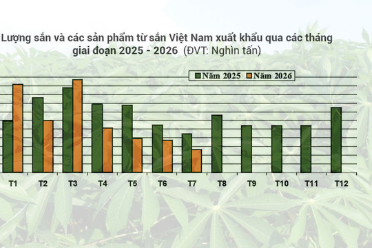 Nguồn cung cạn kiệt, giá sắn nội địa và xuất khẩu lập đỉnh lịch sử