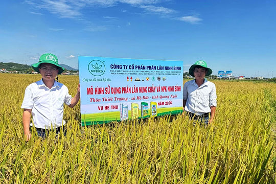 ‘Lội ngược dòng’ vụ hè thu nhờ phân NPK Ninh Bình