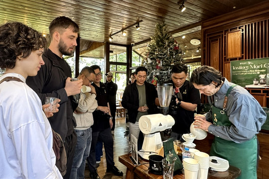Cà phê Robusta Việt Nam đang ở vị trí xếp hạng nào?