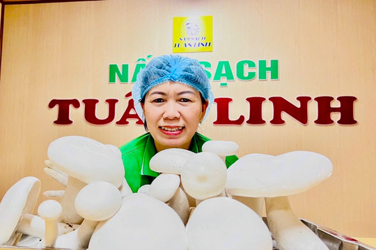 'Liên nấm' và hành trình làm nên chuỗi nấm sạch