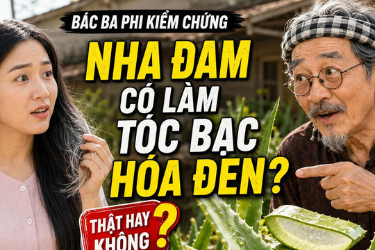 Bác Ba Phi kiểm chứng: Nha đam có thần thánh như lời đồn?