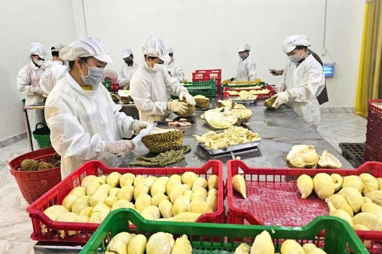 Dòng vốn ưu đãi đổ vào nông nghiệp những tháng cuối năm