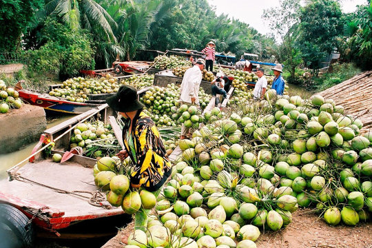 Doanh nghiệp nông sản nào đang ‘lái’ con thuyền vào thị trường Trung Quốc?