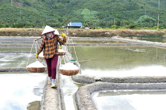 'Muối Tuyết' trên ruộng bạt và cuộc chuyển mình nhọc nhằn của muối sạch