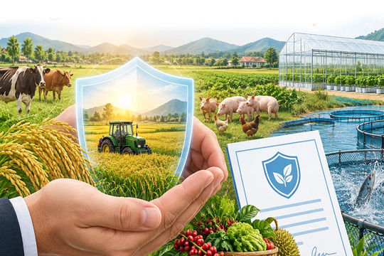 Phí bảo hiểm nông nghiệp lên tới 95%: Chỗ dựa lớn cho người sản xuất