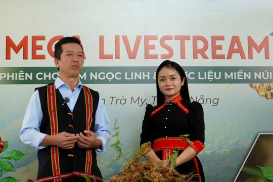 Đưa sâm Ngọc Linh lên chợ số: Khi công nghệ bảo chứng niềm tin và mở đường cho dòng vốn lớn