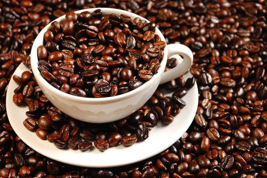 Thị trường cà phê 10/9: Bật tăng mạnh, áp sát mốc 96.000 đồng/kg