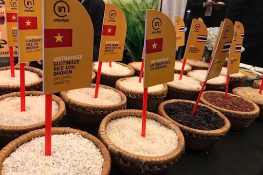 Gỡ khó xuất khẩu gạo vào Philippines