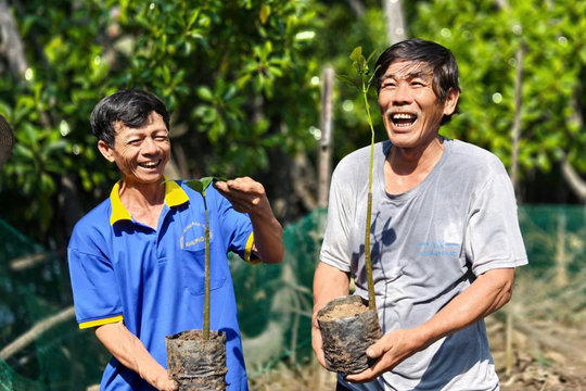 Trồng đưng “gọi” cá tôm trở về