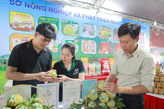 Tây Ninh tổ chức Lễ hội Nông sản đặc trưng và OCOP lần I