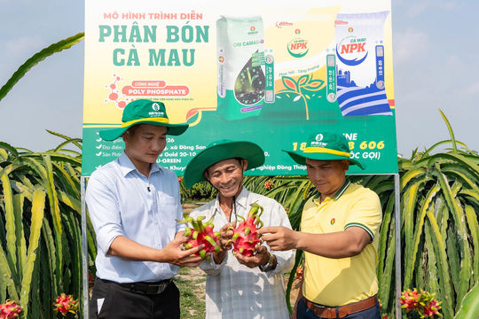 Phân bón Cà Mau: 15 năm ‘thắp lửa’ cho những điểm tựa tương lai