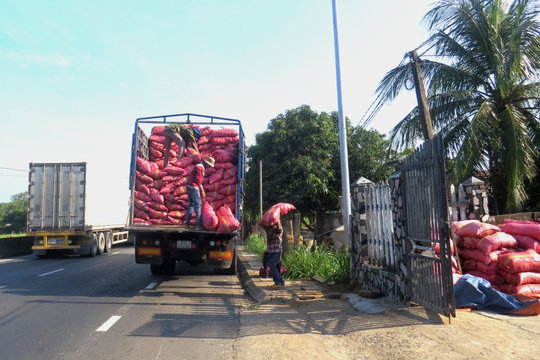 Bán phân bò lấy tiền, nông dân lại 'đội cả thúng' phân hóa học bón ruộng