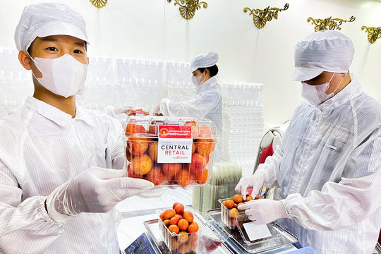 Thái Lan chi hàng chục triệu USD mua rau quả Việt Nam